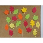 20171110_112649-62d0a288577ba7e21573c4507c13b545