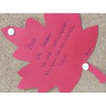 20171110_124804-9594d054f9f4996eb884669f2fe5f364