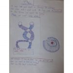 20180716_122746-c519f0d2a3d43573b3eef1bc3d2498e1