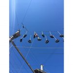 IMG_3004-b28c3dc43b9dd8a9bd54e390fd6c4e1d
