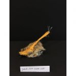 IMG_5099-ba627553cc8caaead17f09c95e3f0eb0