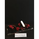 IMG_5110-c0588ff4d34e5309df08bdfea6d12713