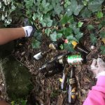 IMG_6161-3bcdcad3e6eb3315e234f4ac0dfb1a1a