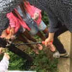 IMG_6165-e24a2cd1b6f088eadc123dc7fad38eb5