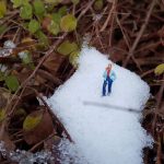 giuliana-e698b842003edc47b6dc4d6c2927688e